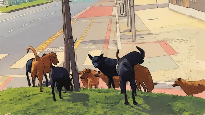 Cães atacam diversos animais nas proximidades do bairro da Ponta D'Areia, em Niterói (Foto: Reprodução)