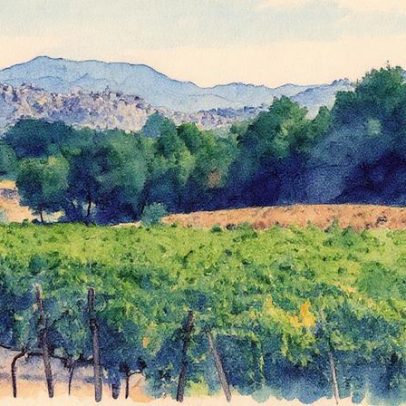 Crus estrangeiros imperdíveis na Foire aux vins 2025 atraem amantes de vinho