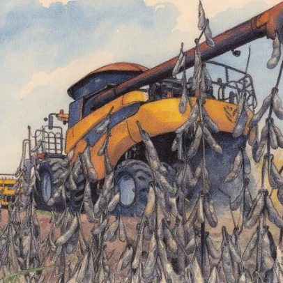 Banco Fator busca captar R$ 20 milhões em nova rodada para Fiagro