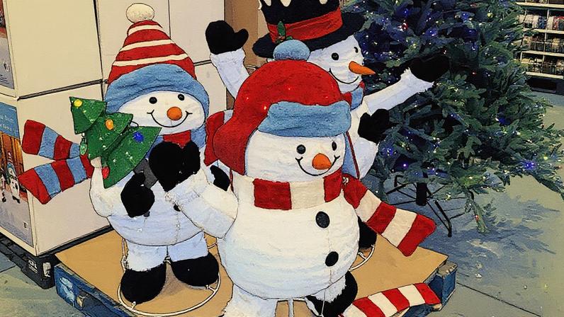 Decorações de Natal expostas em um Costco em Princeton, Nova Jersey (Foto: Reprodução)