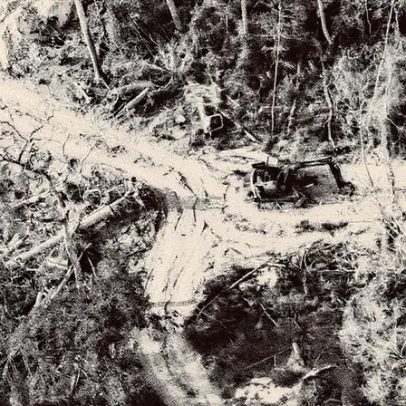 Empresas investem em bioinsumos na Amazônia, mas enfrentam desafios climáticos e de segurança