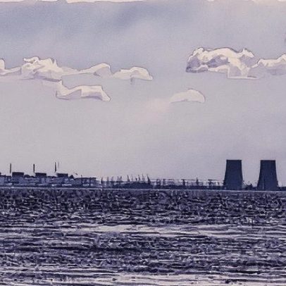 Província italiana estuda taxar cães visitantes