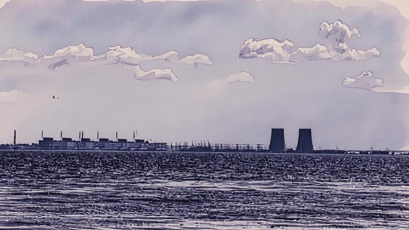 The proceeds from the tax are intended to be used in part to rid streets of dog poo. Photograph: Guerilla/Getty Images