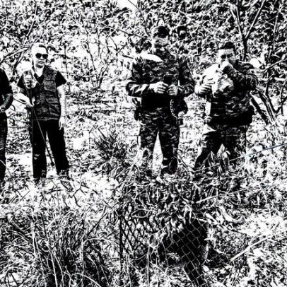 Morador de sítio captura onça após desaparecimento de galinhas em armadilha engenhosa