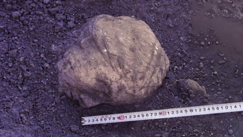 Semi-cela do quarto nº 16 e cabeça de mármore no nível estratigráfico durante o momento da descoberta, ambos no local de Chersonesos Taurica, Crimeia (Foto: Reprodução)