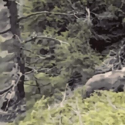 Imagens mostram ataque de urso a alpinista nos últimos momentos na Grécia