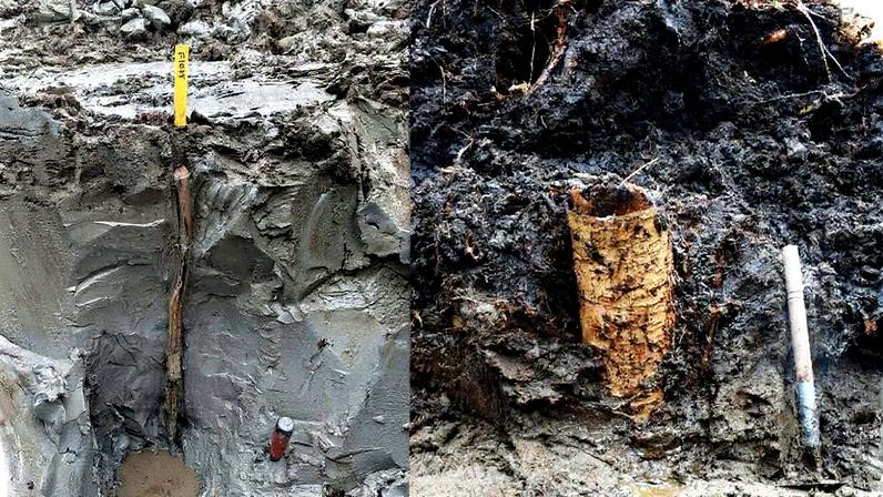 Cápsula de 5 mil anos exposta em um museu (Foto: Reprodução)