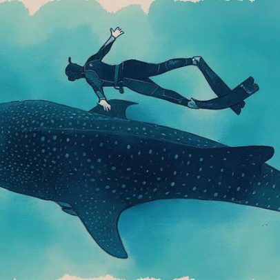 Tubarões-baleia sofrem ferimentos graves causados por ações humanas