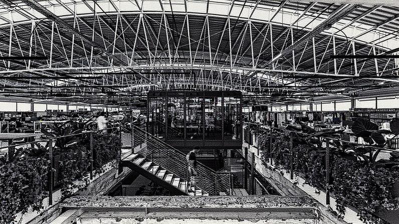 Interior da nova sede da Bimba y Lola (Foto: Reprodução)