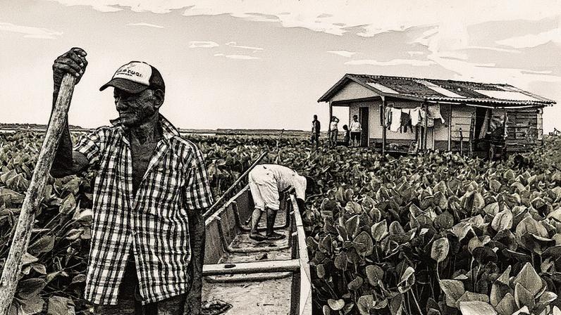 Casa palafítica em Nova Venécia (Foto: Reprodução)