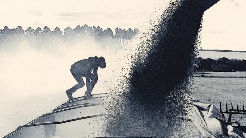 Brasil deve aumentar a área plantada em 3,7% nesta temporada, somando mais 1,7 milhão de hectares (Foto: Reprodução)