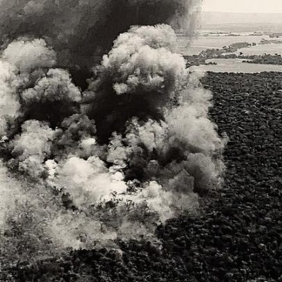 Parque da Amazônia enfrenta risco de destruição devido a queimadas e disputas judiciais