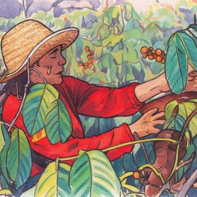 Coalizão Brasil propõe 10 ações para descarbonizar uso da terra antes da COP30