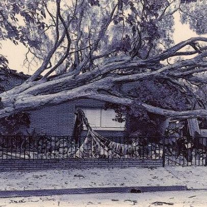 Tarcísio critica Enel e a prorrogação de contrato em análise no governo Lula