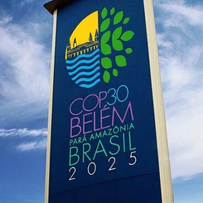 Brasil pode liderar transição global na COP30, afirma Amanda Graciano