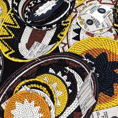 Cooperativa paraense aumenta produção em cinco vezes para atender COP30