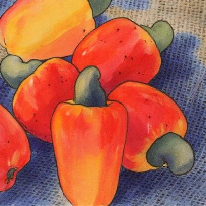 Caju ganha destaque em três receitas inovadoras além da castanha