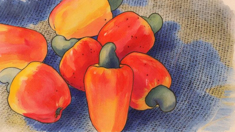 Ceviche de pescada com caju (Foto: Reprodução)