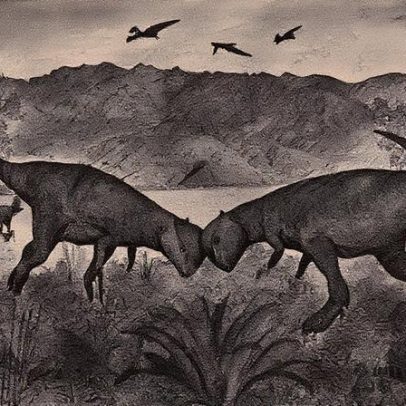 Cientistas encontram fóssil do dinossauro mais antigo com capacete ósseo