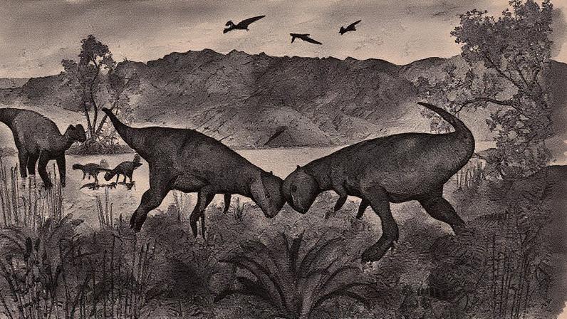 Dois dinossauros de cabeça dura estão em disputa (Foto: Reprodução)