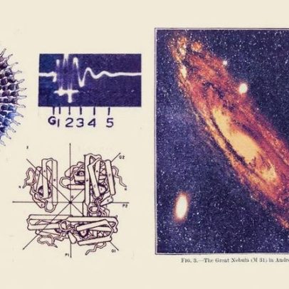 Raymond Dart defende suas descobertas fósseis contra críticas injustas