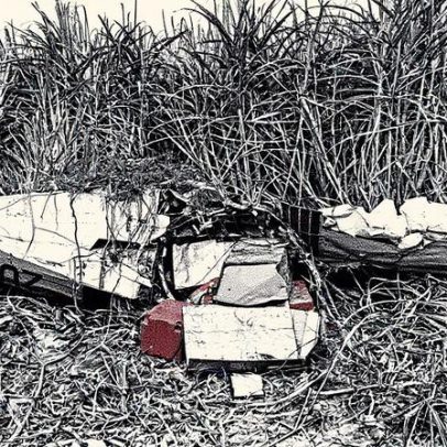 Amiga de piloto australiano revela mistério após queda com 198kg de cocaína em Alagoas