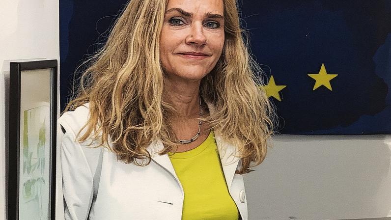 Marian Schuegraf, embaixadora da União Europeia no Brasil (Foto: Reprodução)