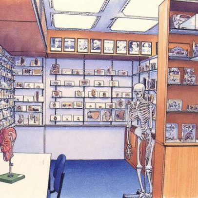 Museu da Tasmânia manteve restos humanos sem consentimento, revela investigação