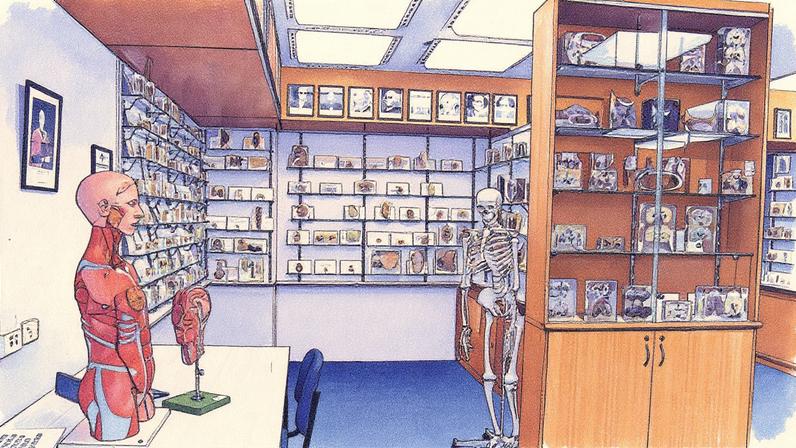 Cabinetes com esqueletos e espécimes no Museu R A Rodda (Foto: Reprodução)