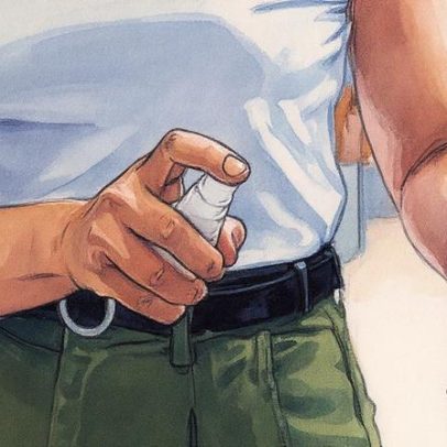 Câmara do Rio aprova projeto para distribuição de repelentes em áreas com mosquitos