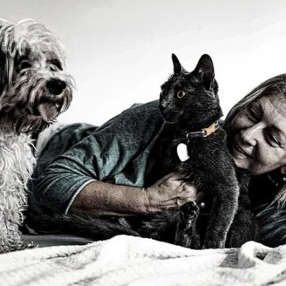 Identifique a velhice em cães e gatos e descubra como melhorar sua qualidade de vida