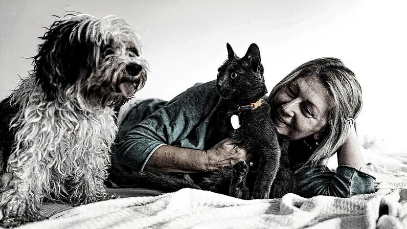 Mudanças psicológicas e emocionais em cães e gatos devido ao envelhecimento e deterioração dos sentidos (Foto: Reprodução)