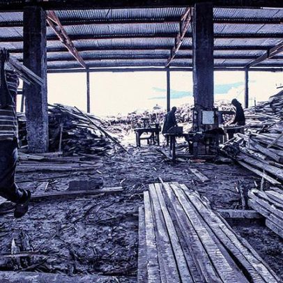 A demanda da China por madeira de rosa gera conflitos na África