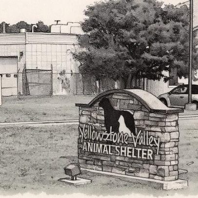 FBI queima metanfetamina e 14 pessoas são hospitalizadas após fumaça tóxica