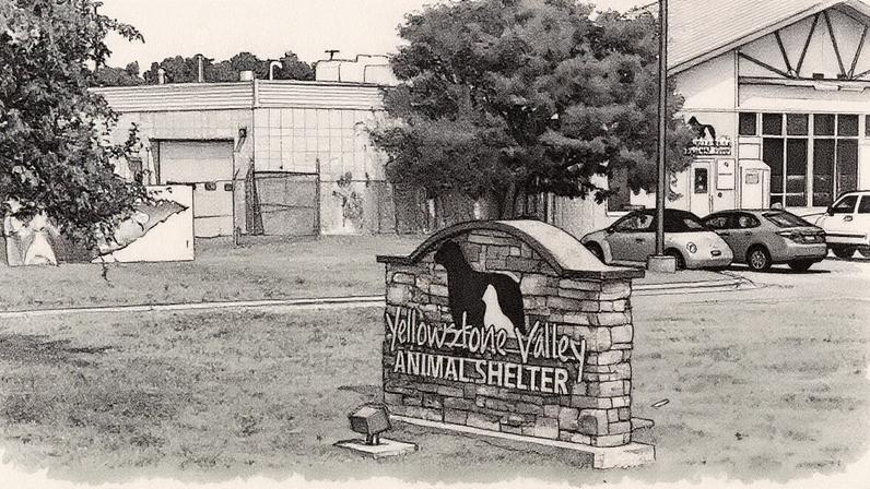 Fachada do Abrigo de Animais Yellowstone Valley, localizado em Billings, Montana (Foto: Reprodução)