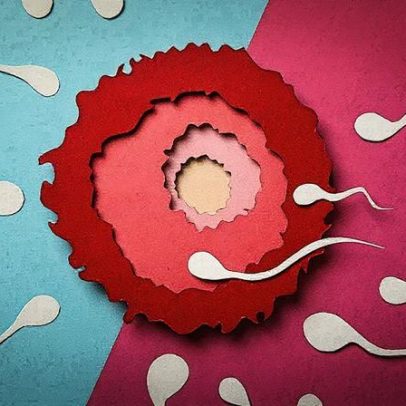 Homens da Geração Y devem entender a importância do relógio biológico na fertilidade