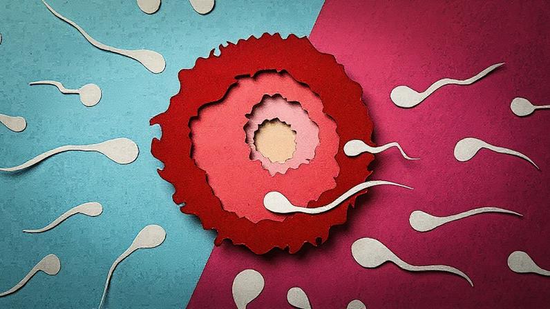 Homens acima de 40 anos devem estar atentos aos riscos e cuidados relacionados à paternidade tardia, segundo especialista (Foto: Reprodução)