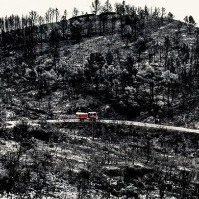 Europa perde área equivalente a Chipre devido a devastadores incêndios florestais