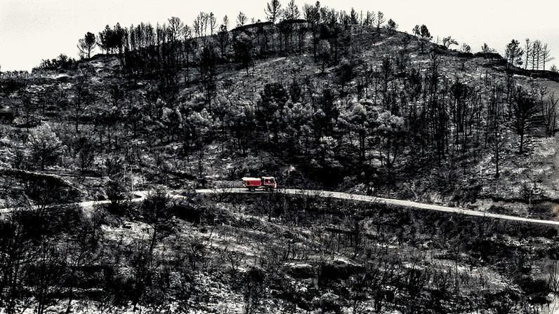 Área de floresta devastada por incêndio em Aude, na França (Foto: Reprodução)