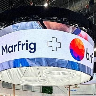 MBRF cancela ações em tesouraria e mantém 99% dos acionistas ativos