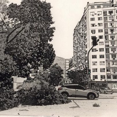 Queda de árvore bloqueia pista central na Praia de Botafogo em direção ao Centro