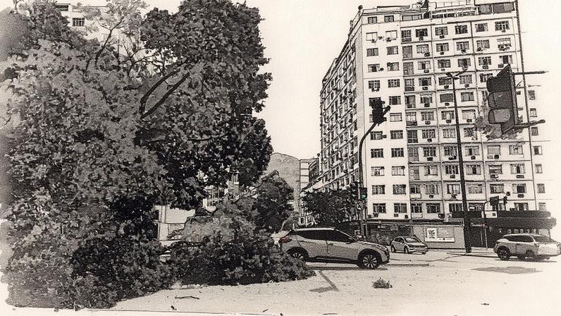 Árvore caída na Praia de Botafogo, na altura da Rua Visconde de Ouro Preto (Foto: Reprodução)