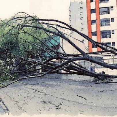 Ricardo Nunes responsabiliza Enel por danos após queda de 128 árvores em SP