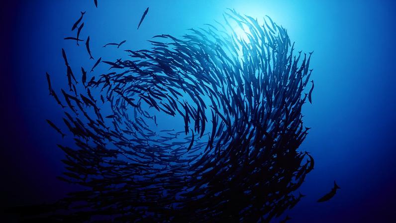 Mulheres são maioria em nova turma de astronautas da NASA, pela primeira vez em mais de 60 anos (Foto: Reprodução)