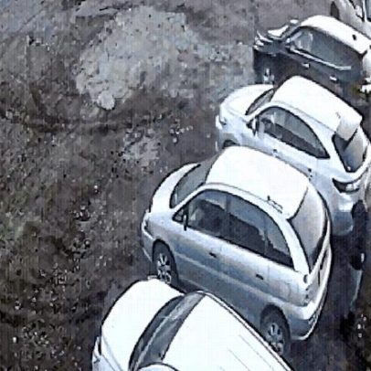 Urso ataca moradores na Rússia, deixando idosa morta e criança ferida