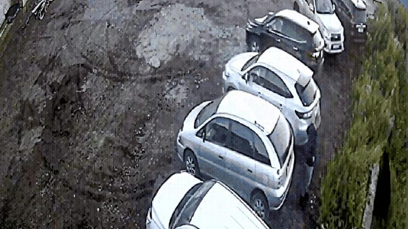 Homem é atacado por urso em um momento de confronto (Foto: Reprodução)