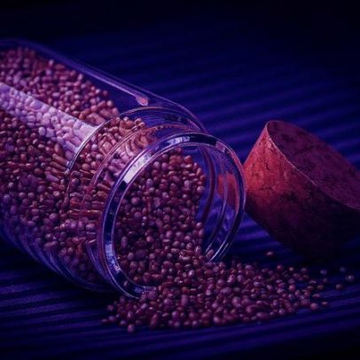 Grão rico em proteína pode ser adicionado ao iogurte e traz benefícios essenciais