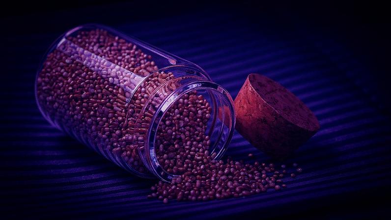 Amaranto, uma planta rica em aminoácidos, cálcio, magnésio e ferro, com o dobro de proteína em comparação ao milho e ao arroz (Foto: Reprodução)