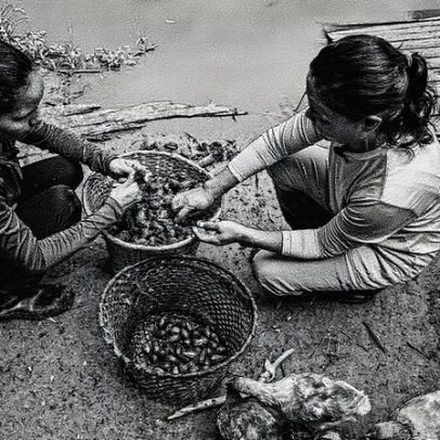 Mercado Livre capacita empreendedores da Amazônia para fortalecer negócios locais