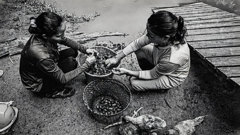 A Amazônia possui grande potencial em bioeconomia, com o Pará podendo aumentar seu PIB em R$ 816 milhões com esse novo modelo (Foto: Reprodução)